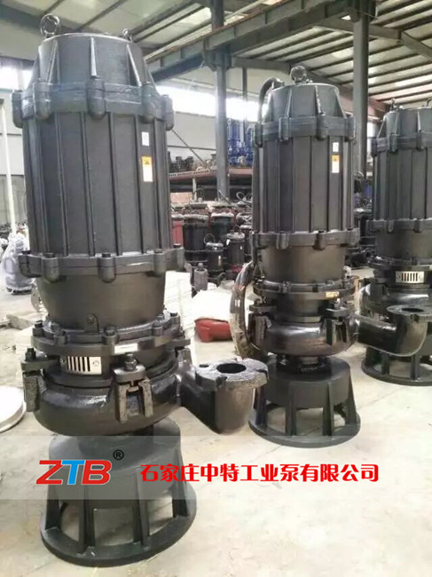 100ZJQ潛水渣漿泵 (3).jpg
